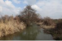 Photo Texture of Background Spring Nature 